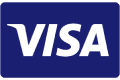 visa icon